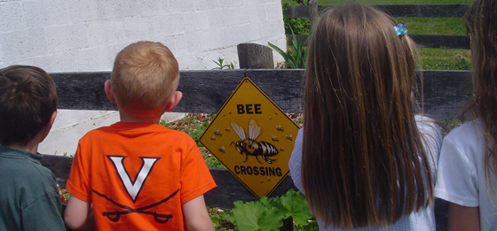 Bee Crossing Tour of the Honey Making House