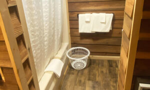 Wild Wind on Robinson River near Shenandoah National Park