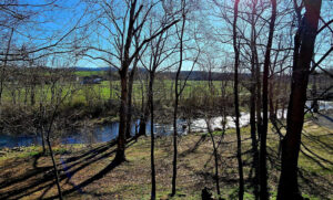 Wild Wind Cottage View