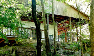 Wild Wind on Robinson River near Shenandoah National Park