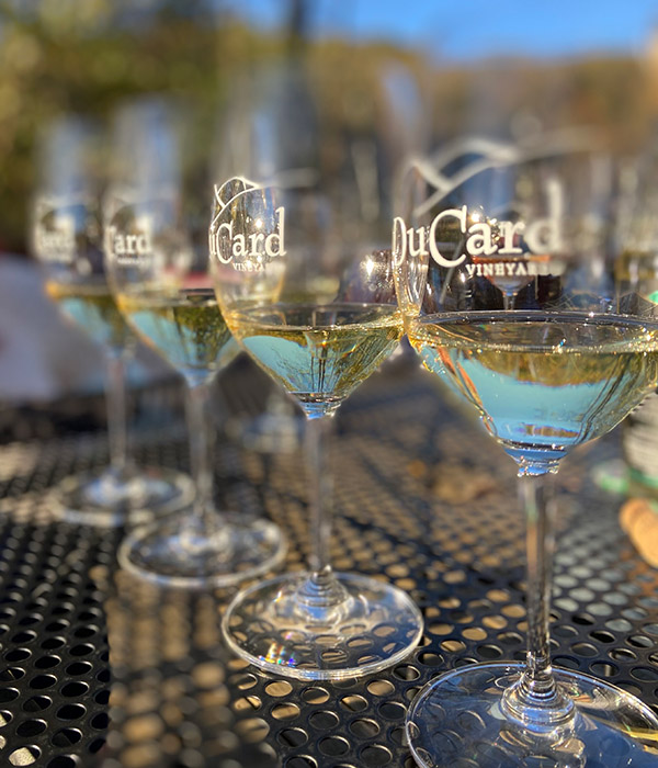 Vineyard tour from Graves Mountain Farm & Lodges