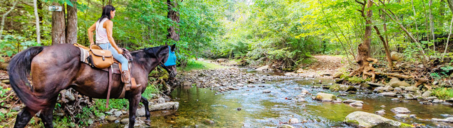 Horse Trail Riding - Shenadoah National Park - at Graves Mountain Farm Stables, Syria VA