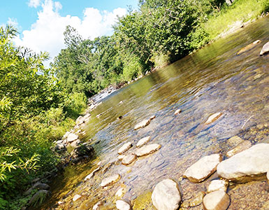 Stream walking meditation at Graves Mountain Wellness Weekend