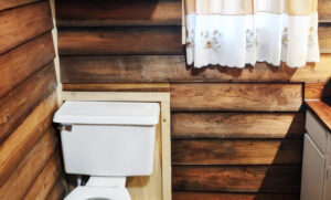 Wild Wind on Robinson River near Shenandoah National Park